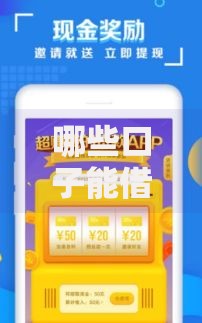 哪些口子能借48期？长期分期贷款平台深度解析