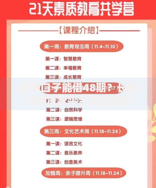 哪些口子能借48期？长期分期贷款平台深度解析