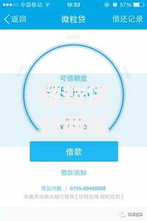 微粒贷分两笔借款可以吗？额度、流程、注意事项全解析