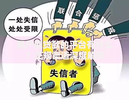 黑户能贷款的平台有什么？正规渠道深度解析