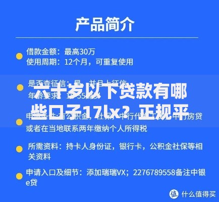 六十岁以下贷款有哪些口子17lx？正规平台申请攻略解析