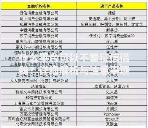 什么平台可以不看征信借钱？详细解析与注意事项