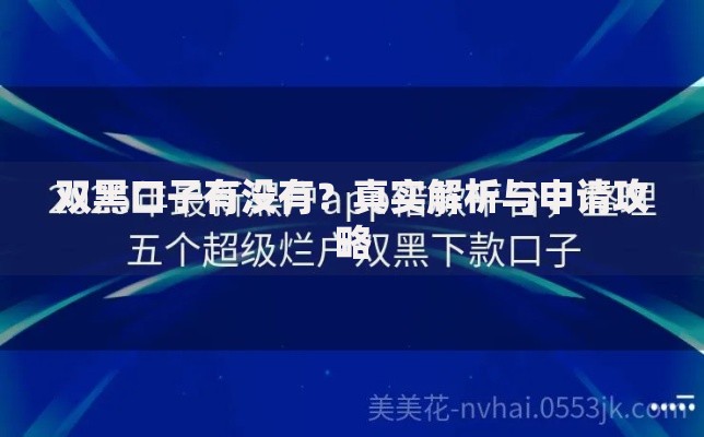 双黑口子有没有？真实解析与申请攻略