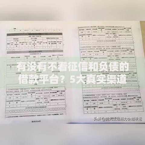 有没有不看征信和负债的借款平台？5大真实渠道解析