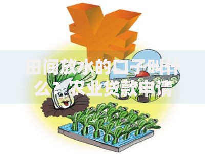 田间放水的口子叫什么?农业贷款申请指南 田间放水的口子叫什么?农业贷款申请指南