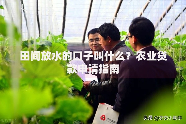 田间放水的口子叫什么?农业贷款申请指南 田间放水的口子叫什么?农业贷款申请指南