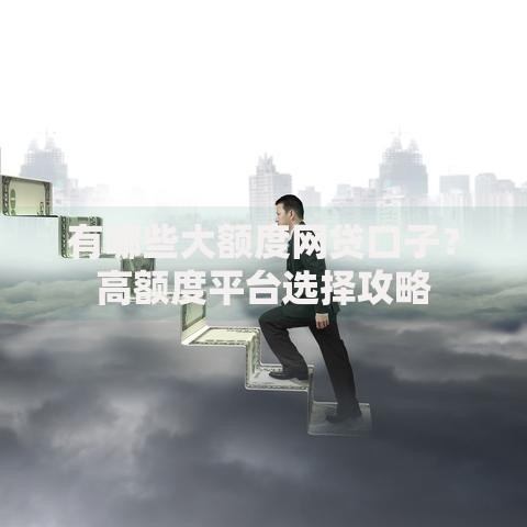 有哪些大额度网贷口子？高额度平台选择攻略