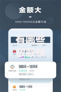 有哪些放款快的借贷app？快速到账平台推荐及申请指南