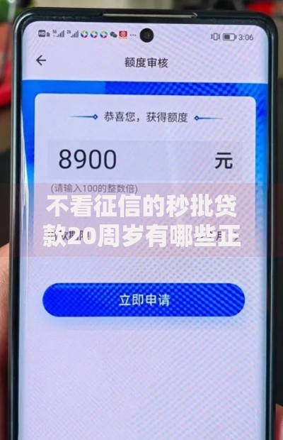 不看征信的秒批贷款20周岁有哪些正规平台？申请流程详解