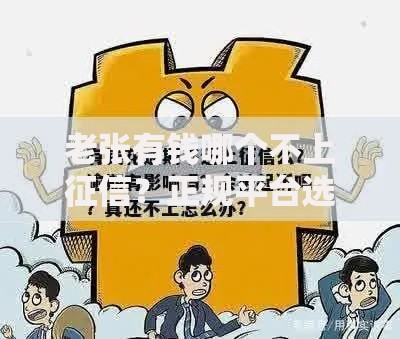 老张有钱哪个不上征信?正规平台选择攻略与风险解析 老张有钱哪个不上征信?正规平台选择攻略与风险解析