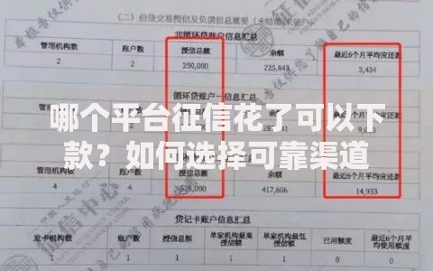 哪个平台征信花了可以下款？如何选择可靠渠道