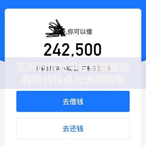 正规的借贷平台有哪些微粒贷的特点与选择指南