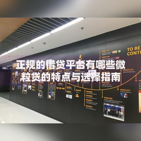 正规的借贷平台有哪些微粒贷的特点与选择指南
