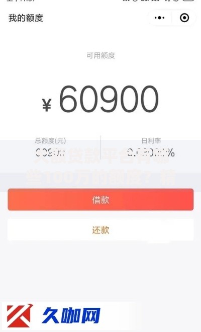 大额贷款平台有哪些100万的额度？精选平台及申请条件解析