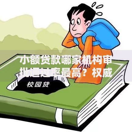 小额贷款哪家机构审批通过率最高？权威解析银行与网贷平台差异