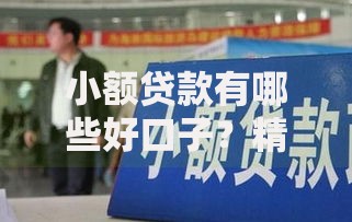 小额贷款有哪些好口子?精选正规低息渠道推荐 小额贷款有哪些好口子?精选正规低息渠道推荐