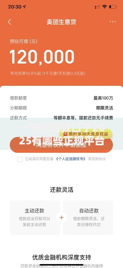 一千元贷款口子2025有哪些正规平台推荐？