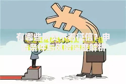 有哪些网贷不看征信？申请条件与风险深度解析