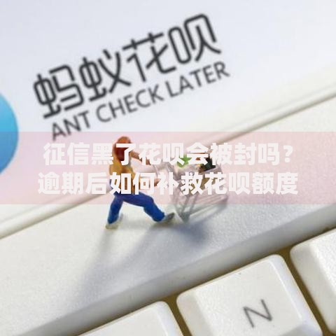 征信黑了花呗会被封吗？逾期后如何补救花呗额度