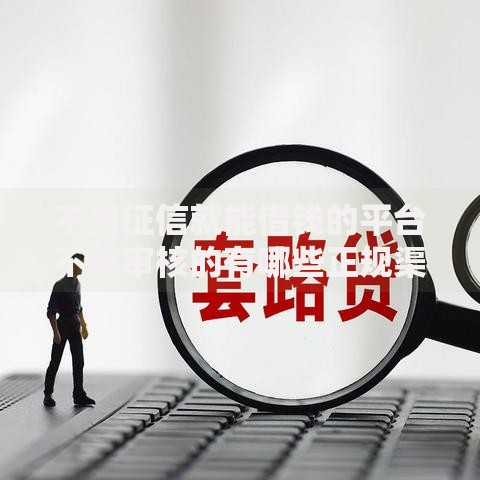 不用征信就能借钱的平台不用审核的有哪些正规渠道
