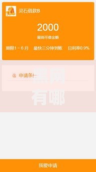 黑网有哪些口子可以贷款？非法借贷风险深度解析