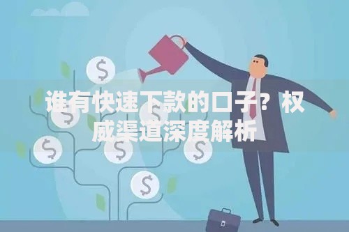 谁有快速下款的口子？权威渠道深度解析