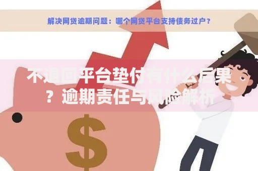 不退回平台垫付有什么后果？逾期责任与风险解析