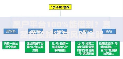 黑户平台100%能借到？真实贷款路径与风险全解