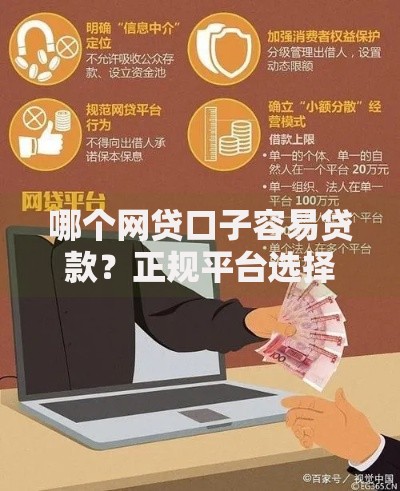 哪个网贷口子容易贷款？正规平台选择指南