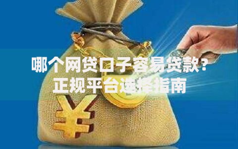哪个网贷口子容易贷款？正规平台选择指南