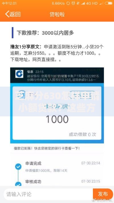 芝麻分630怎样申请小额贷款？这些方法助你轻松获批