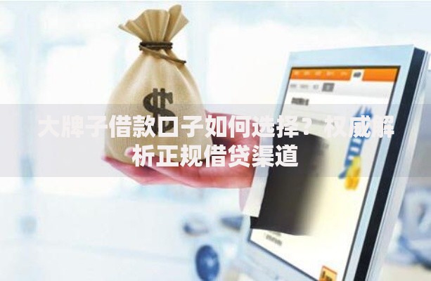 大牌子借款口子如何选择？权威解析正规借贷渠道