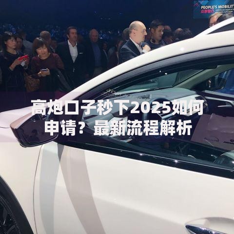 高炮口子秒下2025如何申请？最新流程解析