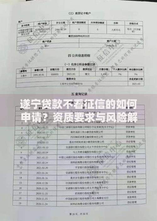 遂宁贷款不看征信的如何申请？资质要求与风险解析