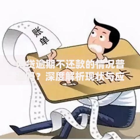 网贷逾期不还款的情况普遍吗？深度解析现状与应对策略