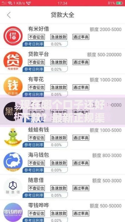 现在哪个口子还好下款？最新正规渠道深度解析