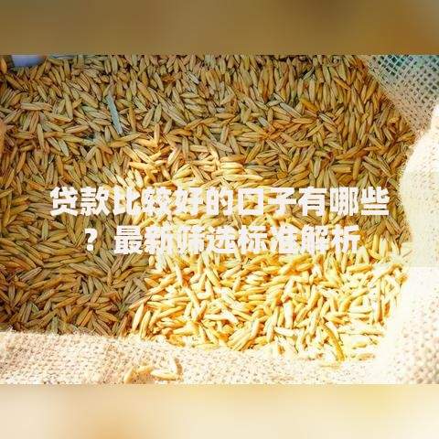 贷款比较好的口子有哪些？最新筛选标准解析