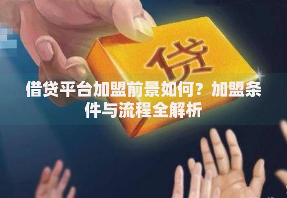 借贷平台加盟前景如何？加盟条件与流程全解析