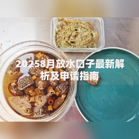 20258月放水口子最新解析及申请指南