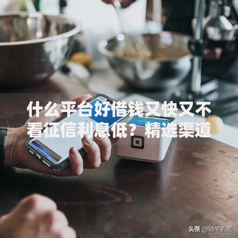什么平台好借钱又快又不看征信利息低？精选渠道解析