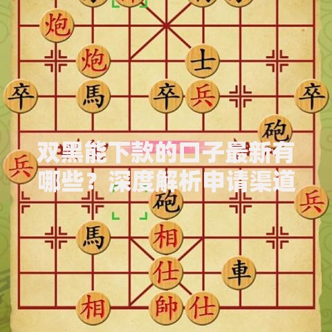 双黑能下款的口子最新有哪些？深度解析申请渠道与注意事项