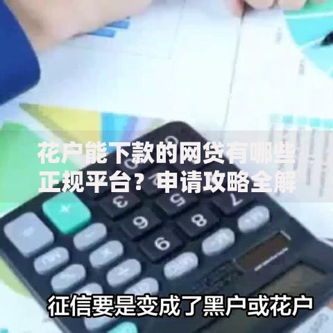 花户能下款的网贷有哪些正规平台？申请攻略全解析