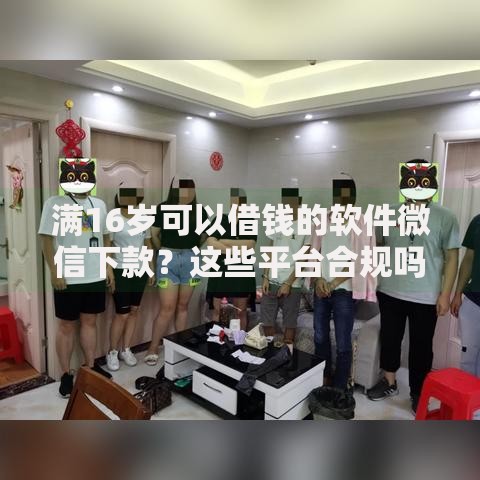 满16岁可以借钱的软件微信下款？这些平台合规吗