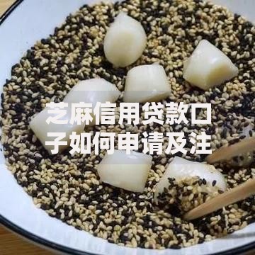 芝麻信用贷款口子如何申请及注意事项解析