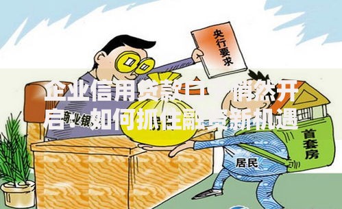 企业信用贷款口子悄然开启：如何抓住融资新机遇？