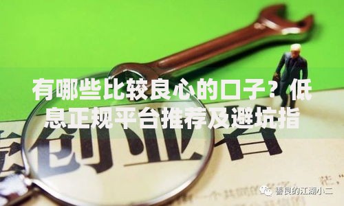 有哪些比较良心的口子？低息正规平台推荐及避坑指南
