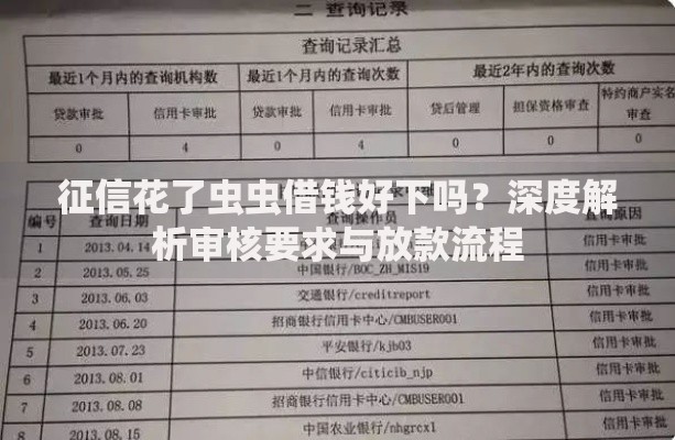 征信花了虫虫借钱好下吗？深度解析审核要求与放款流程