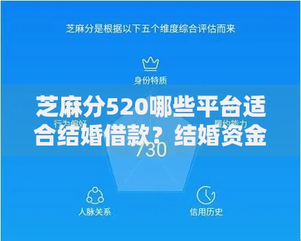 芝麻分520哪些平台适合结婚借款？结婚资金解决方案解析
