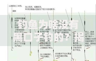 钓鱼为啥没有黑口子钓的？揭秘贷款骗局底层逻辑