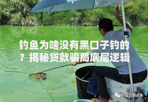 钓鱼为啥没有黑口子钓的？揭秘贷款骗局底层逻辑